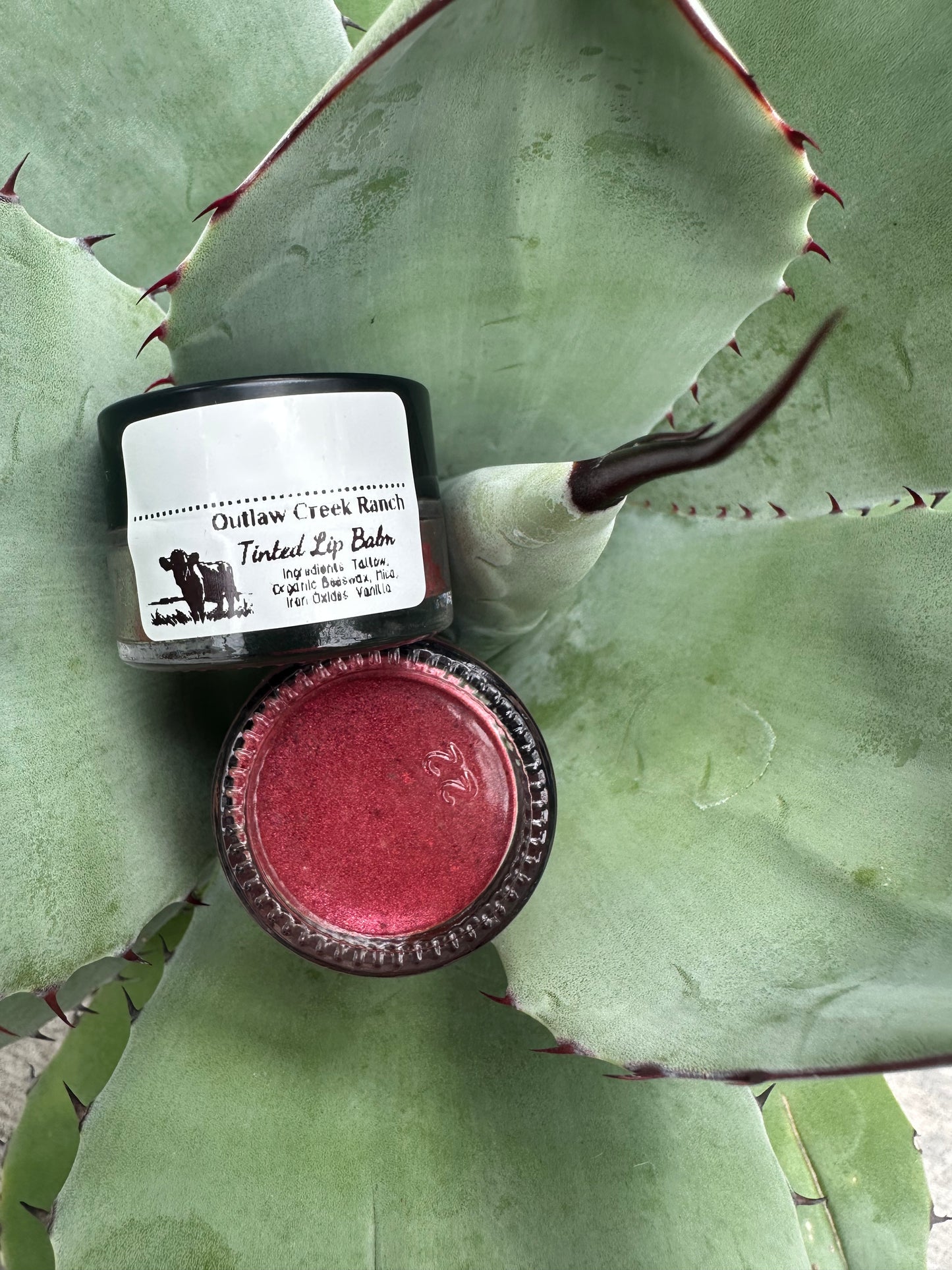 Tinted Lip Balm