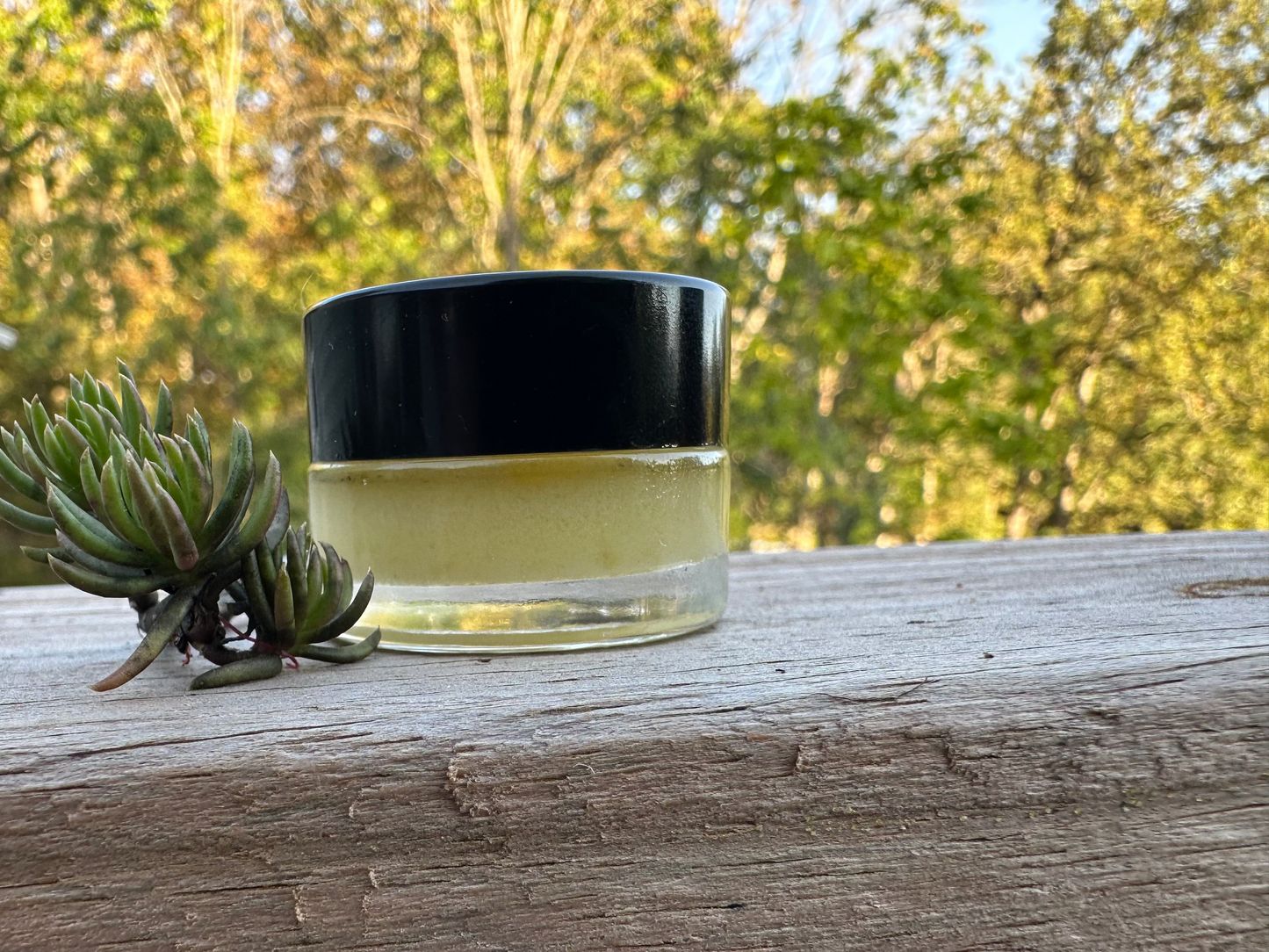 Tallow Lip Melt