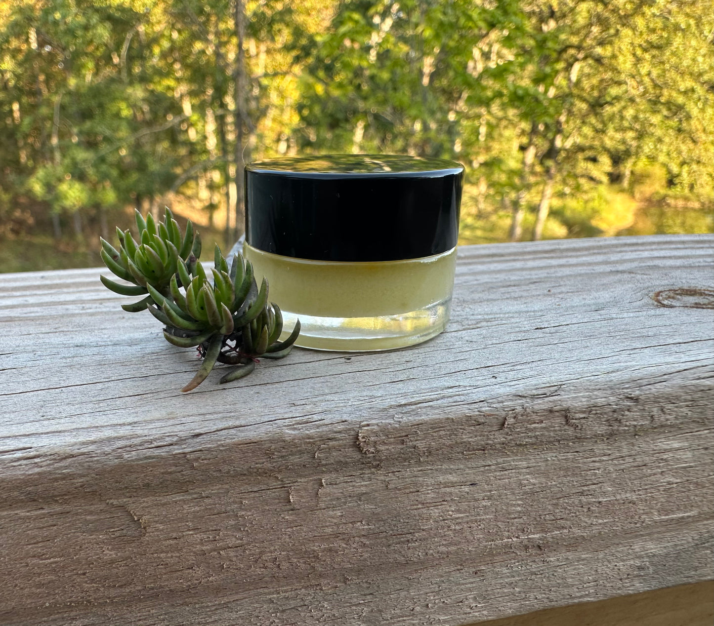 Tallow Lip Balm Melt